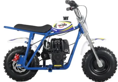 X-PRO-40cc-Mini-Dirt-Bike